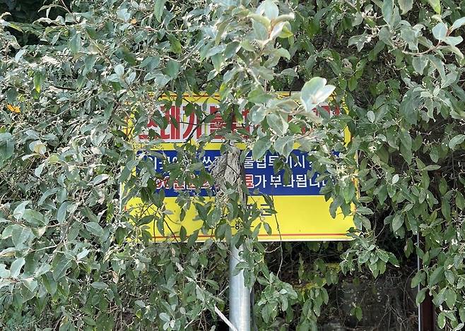 고흥군이 백일리 항구에 설치한 경고판. 주변 수풀이 제대로 관리되지 않아 문구가 대부분 가려진 모습이다. 녹색연합 해양환경기록단