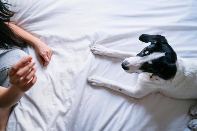 게티이미지뱅크