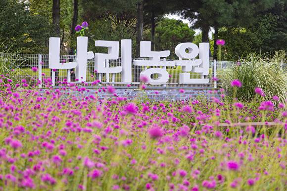 양주 나리농원. [사진=경기관광공사]