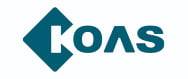 코아스 CI