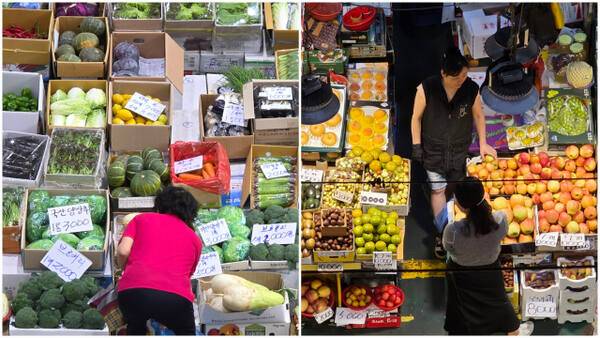 24일 오전 11시께 인천 부평구 삼산농산물도매시장 채소동과 과일동에 시민들이 추석 명절 장을 보고 있다. 장민재기자