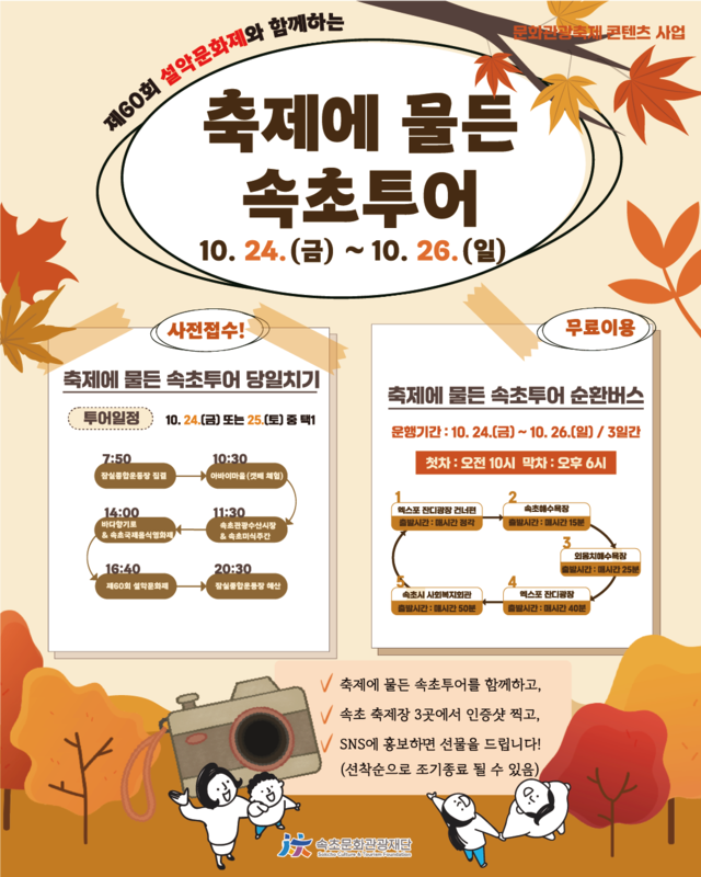 축제에 물든 속초투어