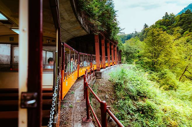 구로베 협곡 도롯코 열차