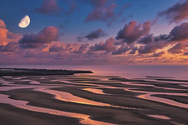 오이타 마타마 비치