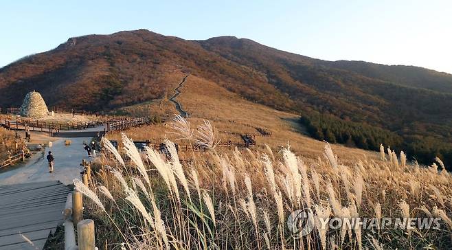 억새 만발한 울주 '영남알프스' 간월재 [연합뉴스 자료사진]