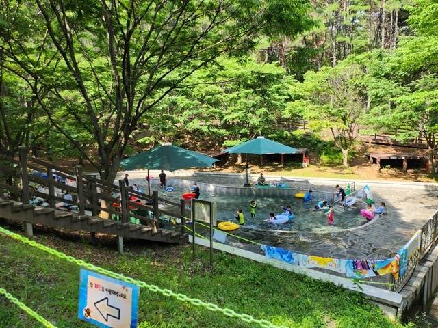 영천 운주산자연휴양림 전경. 영천시 제공