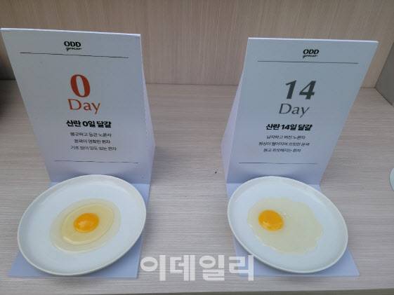 오드그로서 팝업 행사장 (사진=노희준 기자)