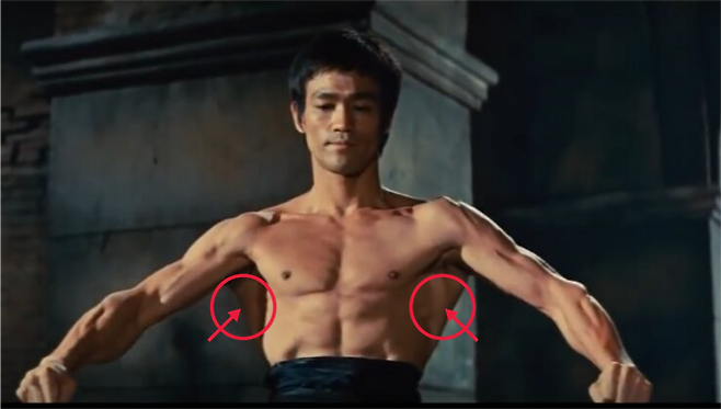 이소룡이 영화 '맹룡과강'에서 결투를 앞두고 근육을 풀면서 광배근을 펼쳐 보이고 있다. 사진=영화 캡처