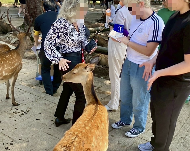 혼슈 서부 나라현 나라시 사슴공원인 나라공원. 사진은 기사의 특정 내용과 관련 없음. 나라공원 홈페이지