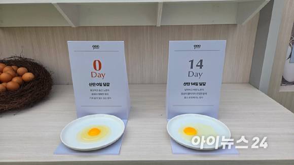 하림 직배송 식품 플랫폼 '오드그로서'에서 판매하는 달걀의 신선함을 강조하는 모형물.  [사진=진광찬 기자]