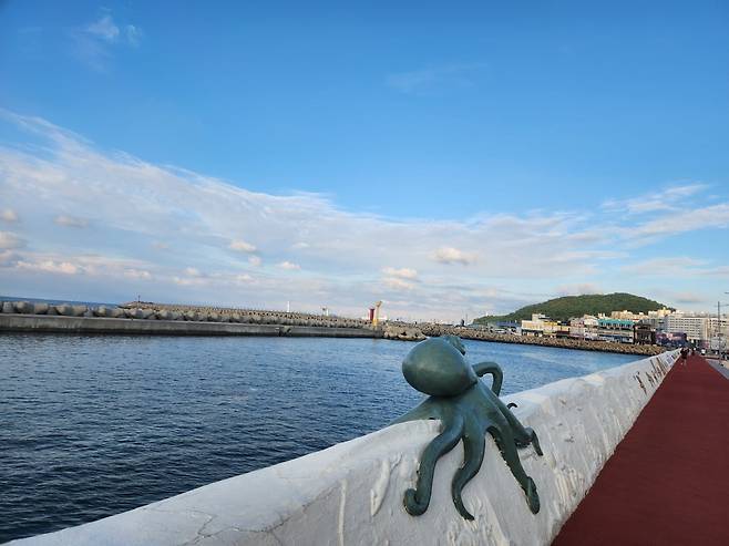 오후가 되면 탑동 해안가에서 러닝 크루들을 쉽게 볼 수 있다. 사진=안옥희 기자