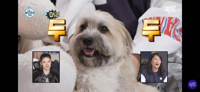 MBC 예능 '나 혼자 산다' 캡처