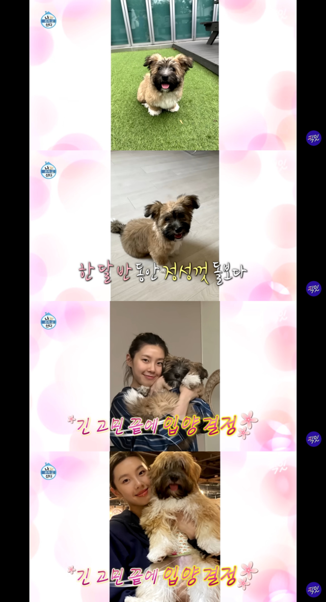 MBC 예능 '나 혼자 산다' 캡처