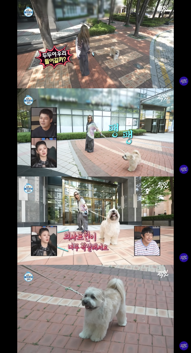 MBC 예능 '나 혼자 산다' 캡처