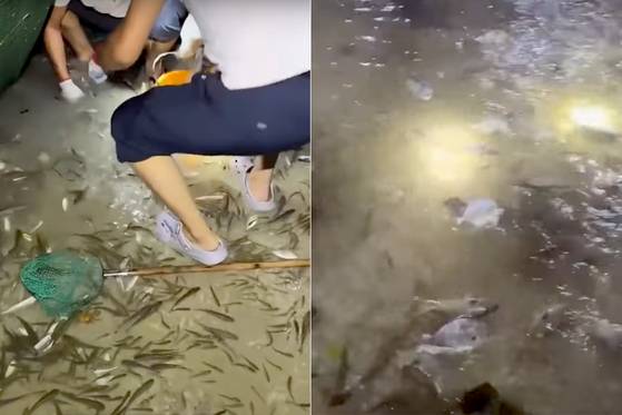 지난 24일 중국 마카오 거리에서 주민들이 ‘물고기 잡이’를 하고 있다. 사진 유튜브 캡처