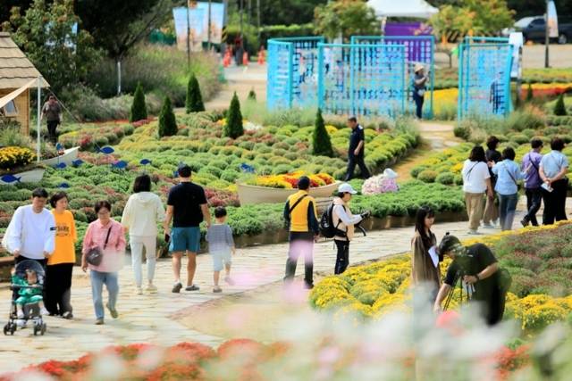 ▲ 인제 가을꽃축제가 개막해 첫날 방문객이 1만6000명을 돌파하며 흥행 기대감을 높였다. 27일 가을꽃축제장인 북면 용대관광지 일대에 수많은 관광객들이 몰려 성황을 이루고 있다. 인제군 제공