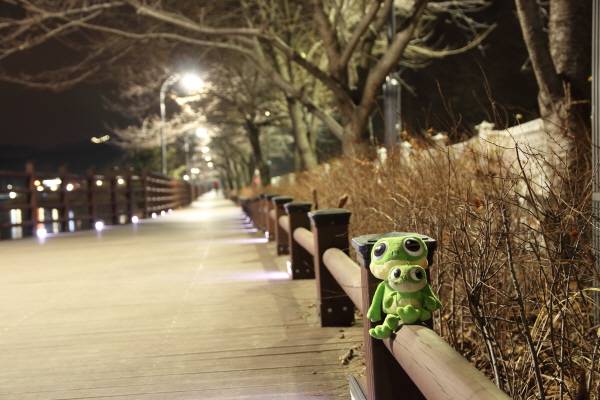 수원시 대표캐릭터 수원이와 함께한 광교저수지 산책로. 사진=수원시