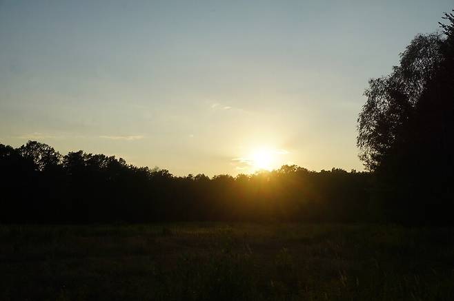 아픈 역사의 기억을 간직하고 있는 ‘카바디 우즈’. 장보영 제공
