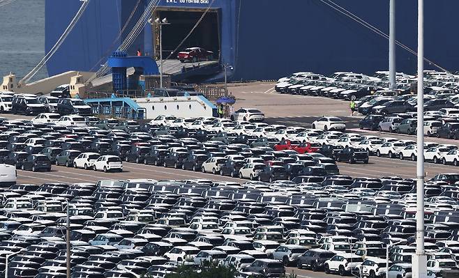경기도 평택항에 수출용 자동차가 세워져 있는 모습. [연합]