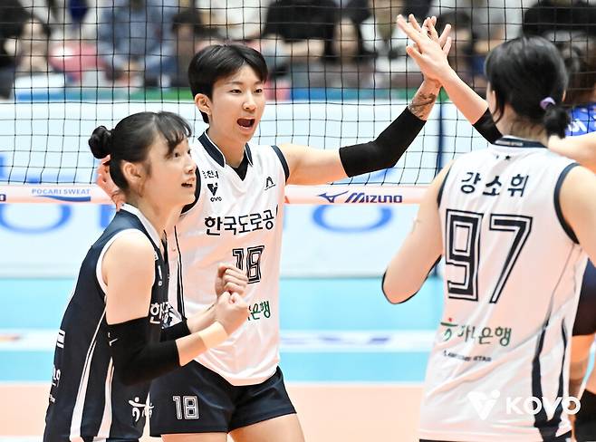 ▲ 한국도로공사 김세인(등 번호 18번) ⓒKOVO