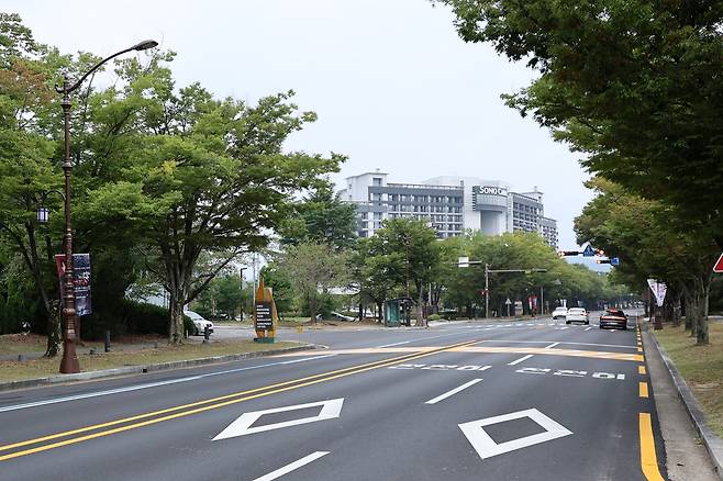 깔끔하게 정비된 경주 보문관광단지 도로 [촬영 손대성]