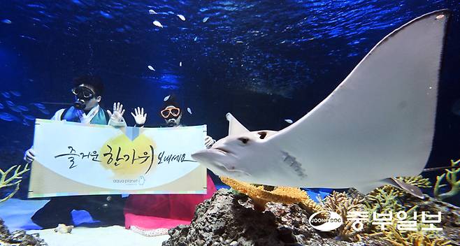 민족 대명절인 추석을 일주일 앞둔 29일 오전 수원시 영통구 아쿠아플라넷 광교에서 한복을 입은 아쿠아리스트가 추석 인사를 하고 있다. 김경민기자