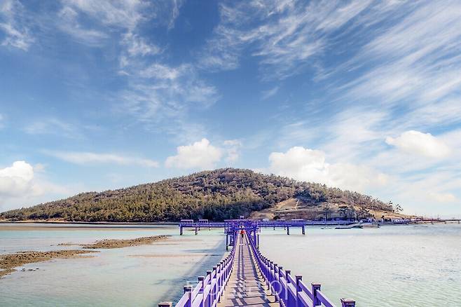 신안 퍼플섬/사진=승우여행사