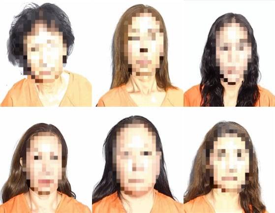 미국 오하이오주 털리도 경찰이 지난 24일 한인을 포함한 아시아계 여성 6명을 성매매 혐의 등으로 체포했다./루카스 카운티 교정당국