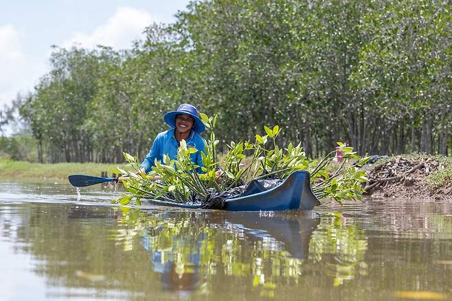 맹그로브 나무 묘목을 운반하고 있는 베트남 메콩델타 지역 산림 관리원. 굿네이버스 제공