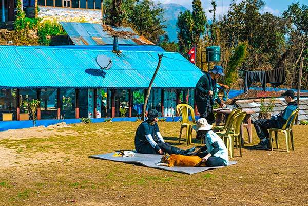 포레스트 캠프에서 점심식사 후 캠프에서 만난 강아지와 함께 휴식시간을 보냈다.