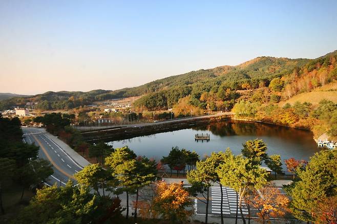 웰리힐리파크  [웰리힐리파크 제공.재판매 및 DB 금지]