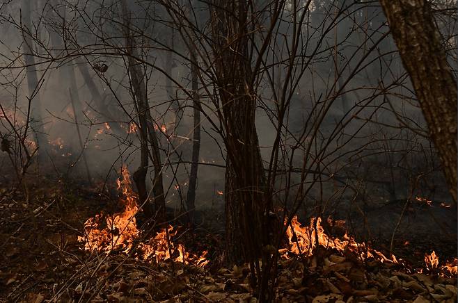 안동시 임동면 가랫재길에 한 야산에 진화되지 않은 잔불에서 연기가 나고 있다. 안동=이상섭 기자
