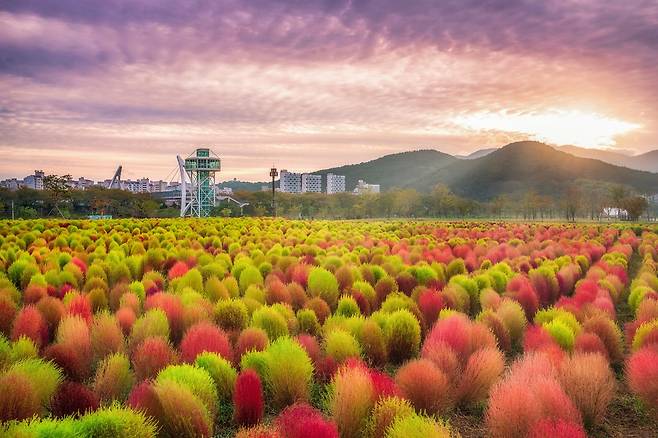 양산 황산공원 [경남도 제공. 재판매 및 DB 금지]