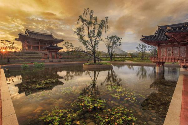 국립세종수목원 한국전통정원 궁궐정원. /세종수목원 제공