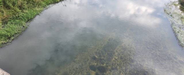 지난 9월 30일 오후, 경북 봉화군 봉화읍 내성천 하수종말처리장 인근. 평소 바닥이 훤히 보일 만큼 투명했던 물빛은 회색으로 탁해져 있었다. 독자제공