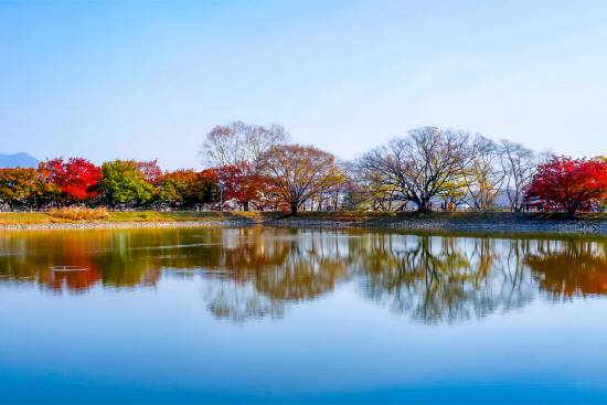 내수면 생태공원.