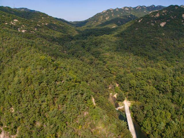 서울대학교 관악(안양)수목원이 관악산 전체를 빽빽이 덮고 있다.
