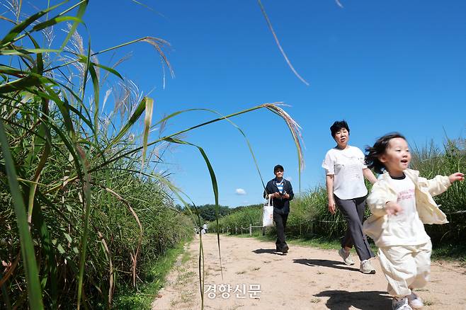 휴일이었던 지난달 21일 서울 마포구 하늘공원을 찾은 시민들이 억새꽃길을 걸으며 나들이를 즐기고 있다. 정지윤 선임기자