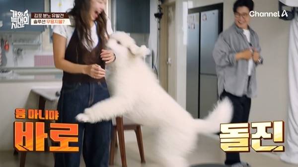 채널A ‘개와 늑대의 시간’ 캡처