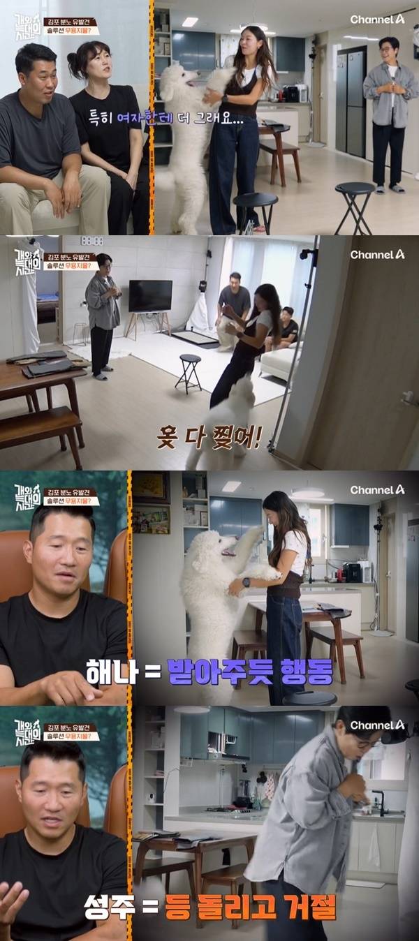 채널A ‘개와 늑대의 시간’ 캡처