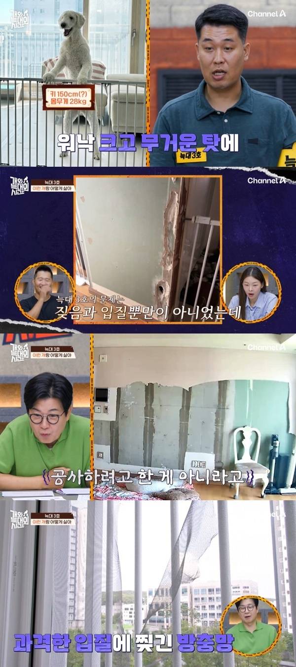 채널A ‘개와 늑대의 시간’ 캡처