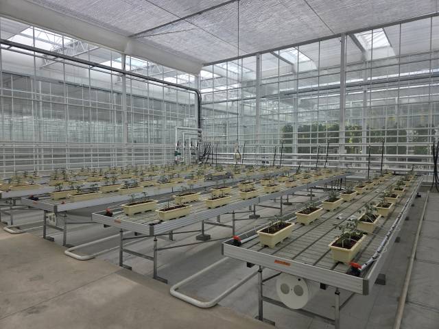 경상북도 상주 스마트팜혁신밸리 내에 위치한 에코프로에이치엔 온실에서 소형 DAC 설비 실증이 이뤄지고 있다. 사진제공=에코프로