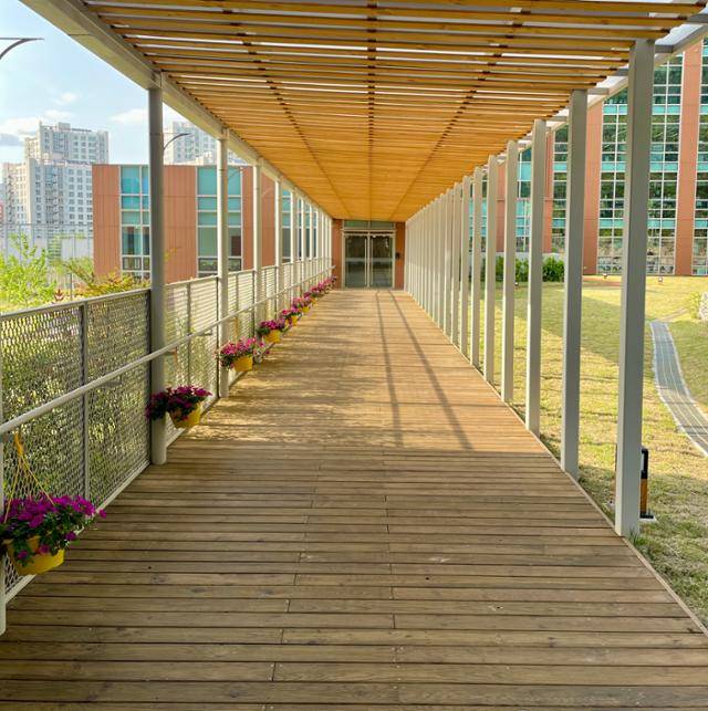 지난 5월 대전시 관저동에서 목조건물로 신축, 공개된 산림복지진흥원의 바닥에는 울진 산불 당시 피해를 입은 목재가 사용됐다. 검게 탄 표피 안쪽은 일반 목재와 다를 바 없어 이용하는 데 문제가 없다. 대전=정민승 기자
