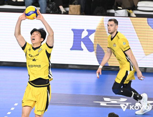 KB손해보험 황택의./KOVO