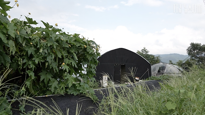 2025년 8월, 경기도 포천시 채소농장 주변에 검은 차양막으로 덮힌 비닐하우스가 눈에 띈다. 언뜻 봐서는 그냥 비닐하우스로 보이지만 그 안에 샌드위치 패널로 만들어진 기숙사가 숨겨져 있다. 그 곳에 이주노동자가 산다.
