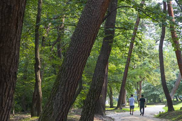 구리 동구릉/ 경기관광공사 제공.