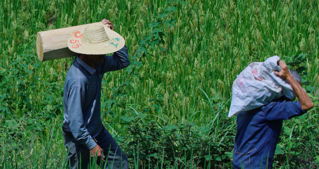 저우 타오, 빅데이터의 축, 2024. 부산현대미술관 제공