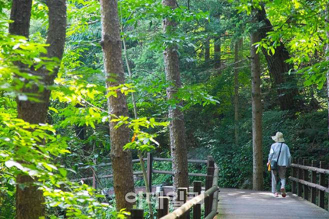 의왕 청계산맑은숲공원.(사진=경기관광공사)