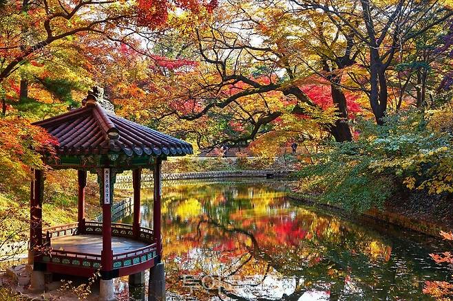 창덕궁 관람정 ⓒ 한국관광공사 포토코리아-이정규