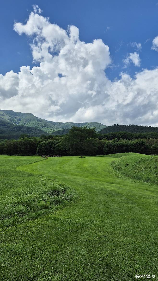 미래세대에게 물려줄 환경을 고민한 도카치 천년의 숲. 김선미 기자 kimsunmi@donga.com